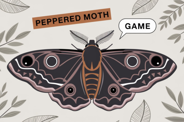 Peppered Moth Game​